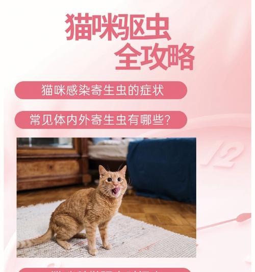 猫咪驱虫，发现虫害该如何应对（以宠物为主）