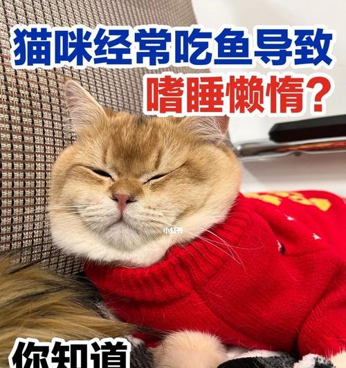 宠物猫缺维生素应该如何处理（了解猫咪缺维生素的症状和治疗方法）