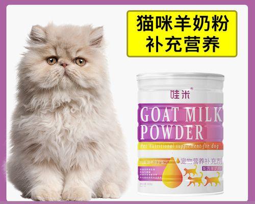 宠物猫出现小洞该怎么办（解决猫咪身上小洞的方法和预防措施）