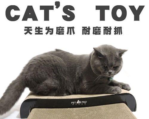 探讨猫咪爪子抓陌生人的原因（揭秘宠物猫咪的本性和行为特点）