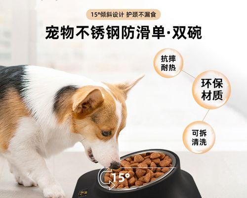 小猫准备的宠物用品（关爱小猫）