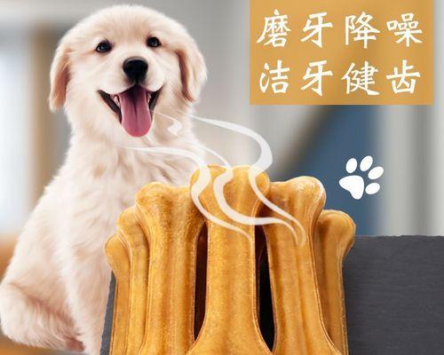 小狗被大狗咬肿了，该怎么办（宠物犬间相处注意事项）