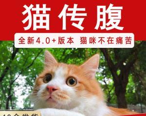 FIPV与猫咪的健康问题（探究猫咪感染FIPV的原因与防治方法）