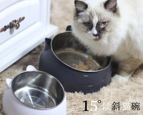 猫咪的爪子有多锋利（揭秘被猫咪抓破会没有感觉的真相）