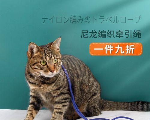 被猫咬伤如何应对（宠物猫咬伤处理方法及预防措施）