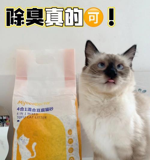 猫咪的最爱（了解不同类型猫砂）