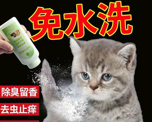 如何正确给宠物猫洗澡（猫咪洗澡的频率和正确选用洗浴用品）