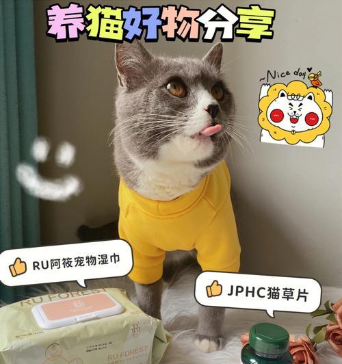 猫咪小便困难该吃什么药（解决猫咪小便困难问题的有效药物）