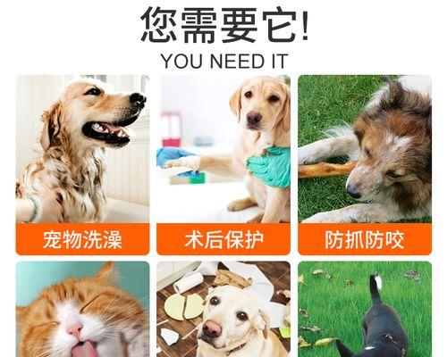 如何为宠物猫选择合适的伊丽莎白圈