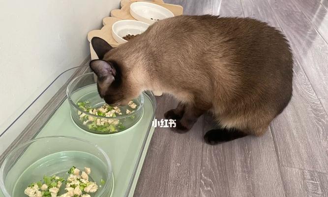 如何让宠物猫咪吃得健康——鸡胸肉的正确喂养方法（15个段落）