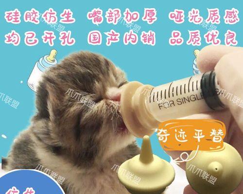 猫咪健康指南（宠物养护）