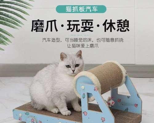 如何安全、舒适地运输猫咪以及搬迁时的注意事项（如何安全）