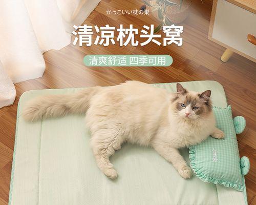 如何训练猫咪良好小便习惯（宠物猫咪小便问题解决方案）