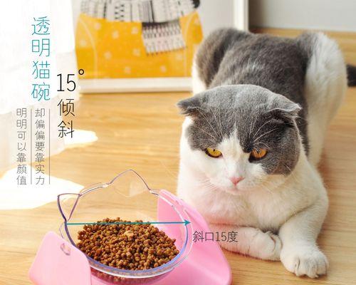 浅色猫的饮食之道（以浅色猫粮为主）