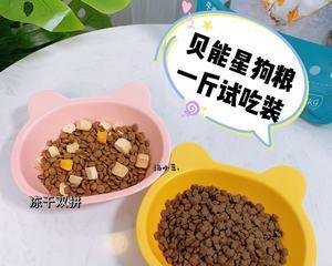 泰迪狗粮搭配什么食物更健康（为你的泰迪犬提供均衡的营养）