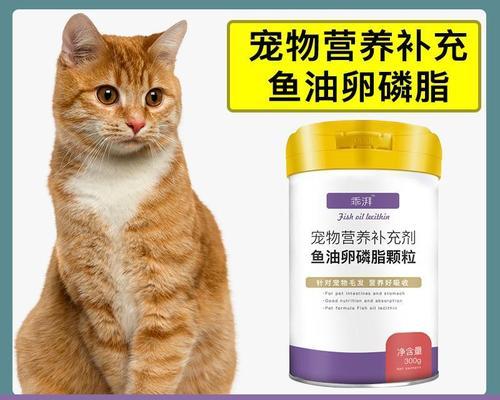 老猫为何叼小猫（探究老猫叼小猫的原因与解决方法）