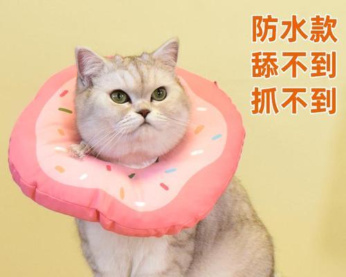 猫为什么喜欢舔腋下（探究猫咪舔腋下的原因及意义）