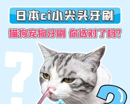 猫咪肾结石，如何避免（了解肾结石的成因和预防方法）