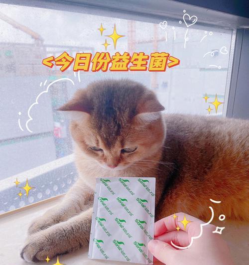 小猫健康从口入——以小猫益生菌咋吃为主题的详细指南（宠爱小猫）