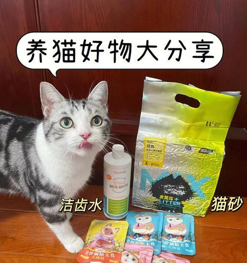 小猫的猫砂使用指南（让你的宠物爱上猫砂）