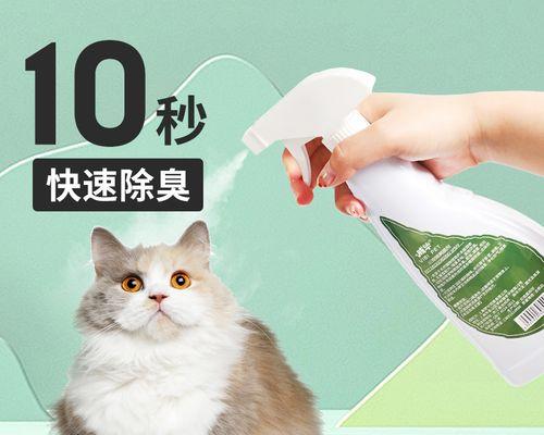 小猫咪的排尿时间究竟有多长（揭秘宠物小猫咪的排尿规律）