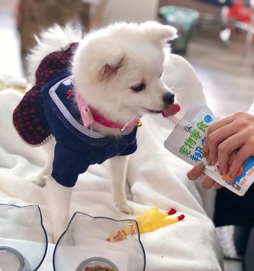 幼狗的饮食之道（以宠物为主的营养均衡饮食方法）