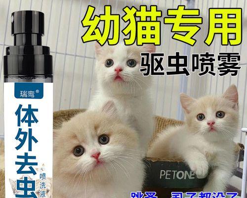 宠物猫驱虫大全（以幼猫驱虫吃什么为主）