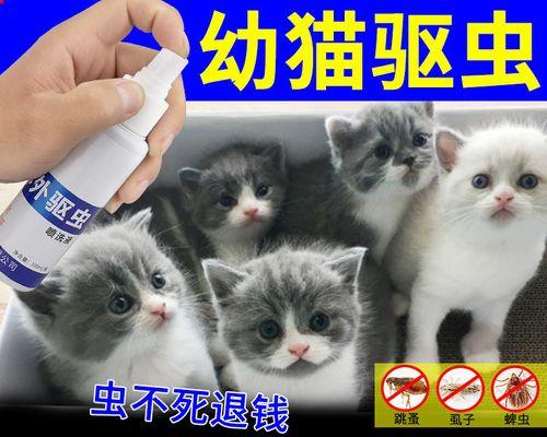 如何有效除去宠物猫的跳蚤（保护宠物健康）