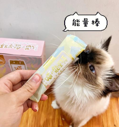 怎样让宠物猫咪开胃（掌握这些技巧）