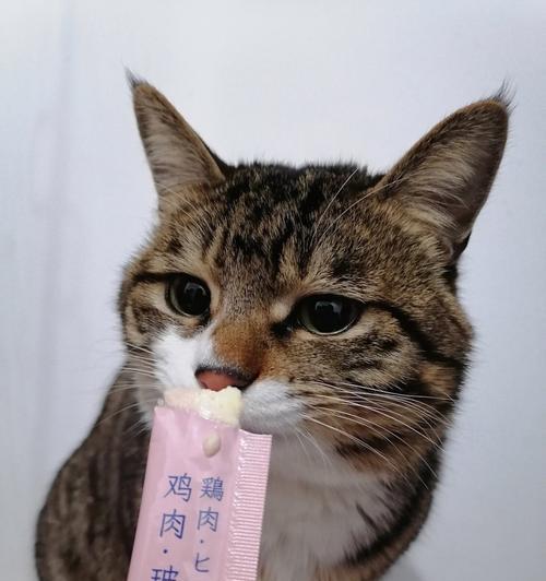 猫咪为什么爱吃鸡肉（探究猫咪鸡肉爱好的原因与注意事项）