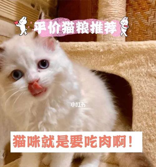 猫咪长期食用肉类的健康益处（为你的宠物提供更健康的食物选择）