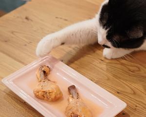 猫咪可以吃鸡肉吗（探究猫咪饮食习惯及适宜食物）