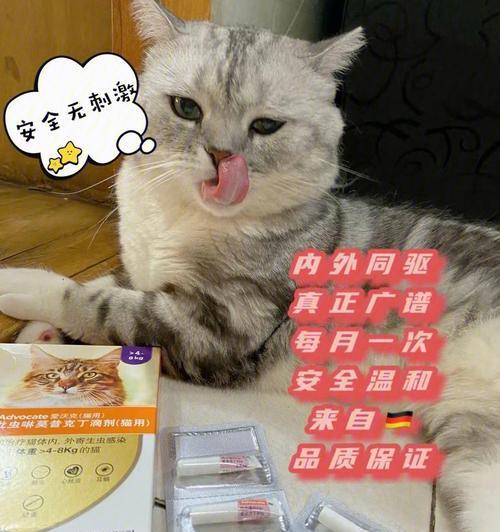 猫咪打虫药注意事项（宠物保健必知）