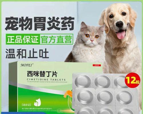 猫咪打完针后呕吐的原因与解决方法（宠物主人必看）