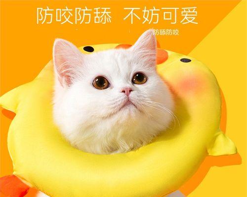 为什么猫咪喜欢咬人（探究猫咪的咬人行为）