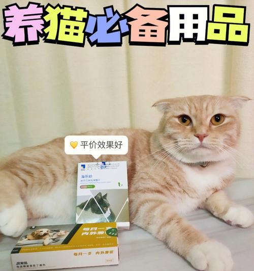 猫咪吃驱虫药的正确方式（宠物爱好者必读）