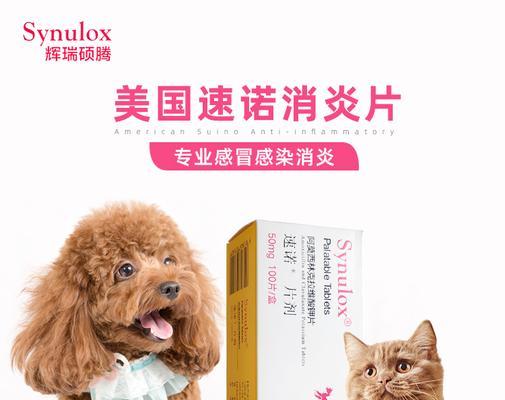 猫咪感冒阿莫西林治疗指南（宠物必备）