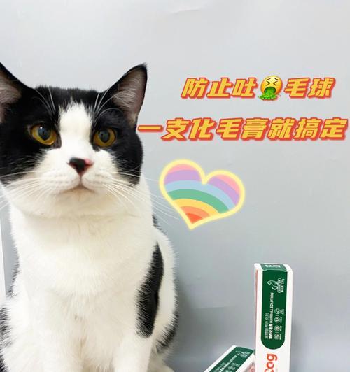 最受欢迎的猫咪化毛膏排行榜（探索宠物美容世界的必备工具——猫咪化毛膏）