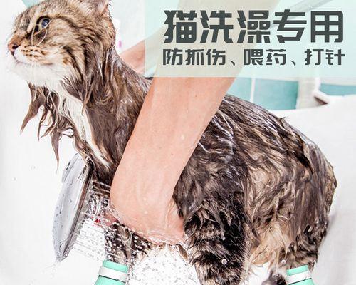 如何防治猫咪咬线（宠物爱好者必看）