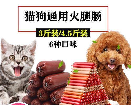 如何给宠物狗狗正确补充钙片（以正确的方式让狗狗获得更好的健康效果）