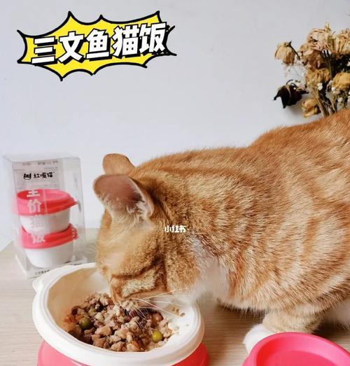 如何为宠物猫咪做营养美味的猫饭（掌握养猫小技巧）