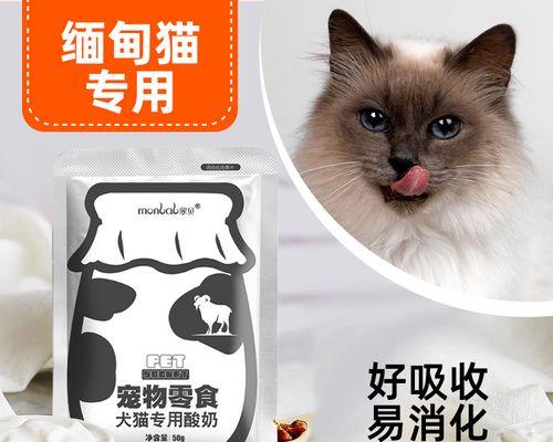 正确喂养猫咪，避免强灌粮食（宠物健康从正确喂养开始）