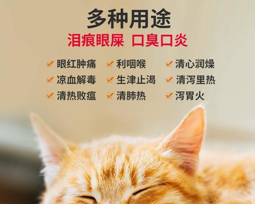 如何预防猫咪口炎（掌握这些方法）