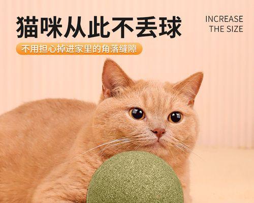 宠物猫如何避免乱跑（让你的猫咪在家安心玩耍）