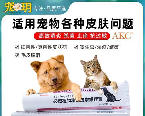 治疗宠物猫癣费用详解（如何预算治疗宠物猫癣的费用）