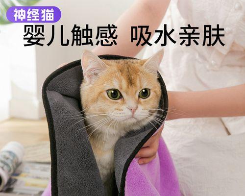 两个月大的猫咪毛稀怎么办（宠物爱好者必看的养猫指南）