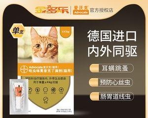 揭秘猫咪吃拜耳正常反应（猫咪吃拜耳后的表现与注意事项）