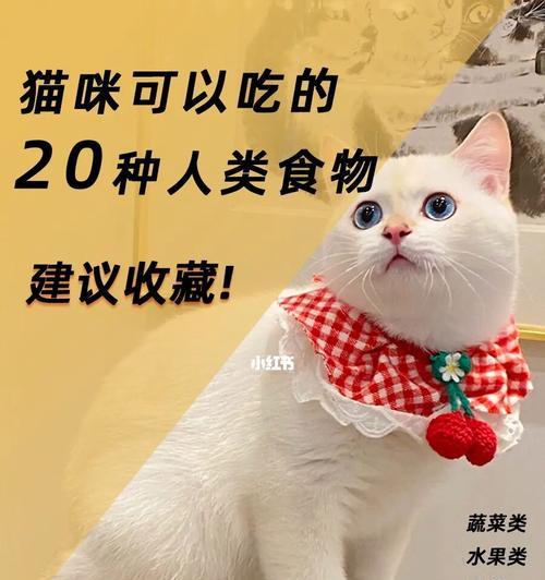 宠物猫咪能否吃南瓜？探究南瓜对猫咪的影响