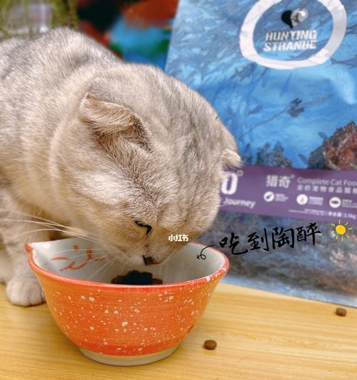 小猫除了猫粮还喜欢吃什么食物？如何为小猫提供健康零食？