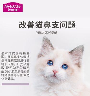 小猫喝羊奶需要注意什么？哪种羊奶最适合小猫？